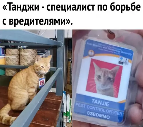 Смешная картинка №696826