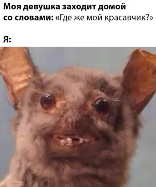 Смешная картинка №478772