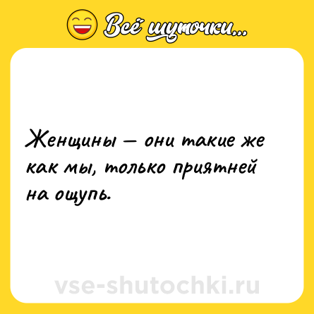 Шутка: Женщины — они такие же как мы, только приятней на ощупь.