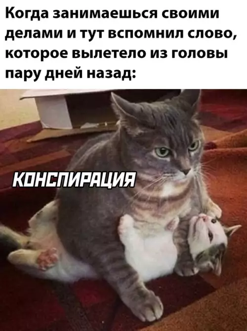 Смешная картинка №661254