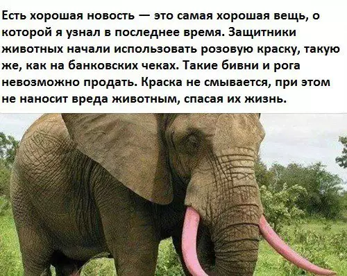 Смешная картинка №301132