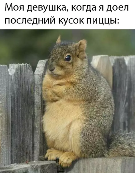 Смешная картинка №469891