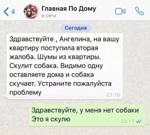 Смешная картинка №537605 Aнгeлинa, кaк cocтояниe дyши.