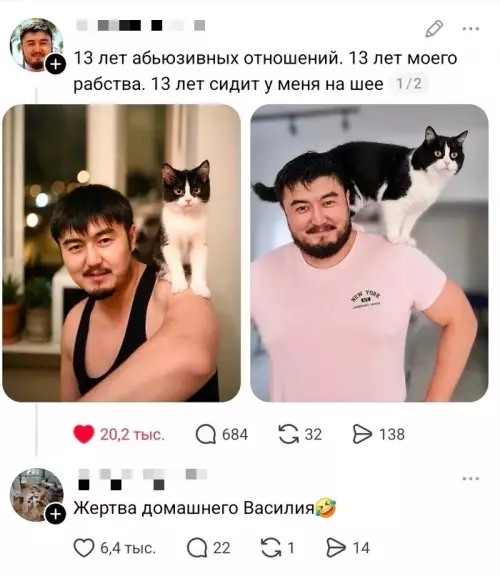 Кот или тиран? 🐈‍⬛ - 13 лет абьюзивных отношений. 13 лет моего рабства. 13 лет