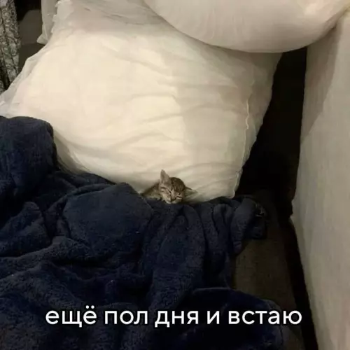 Смешная картинка №735276