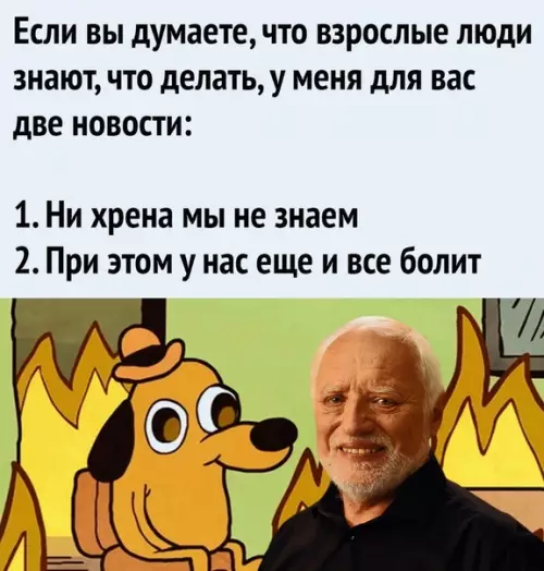 Смешная картинка №508030 Добро пожаловать во взрослый мир