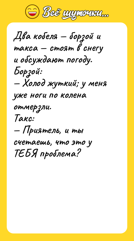 Два кобеля — борзой и такса — стоят в снегу