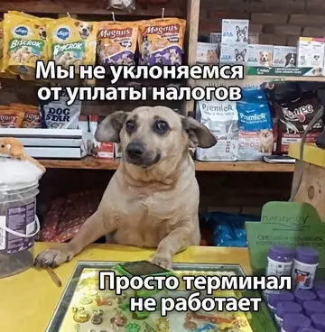 Смешная картинка №756603 Верим