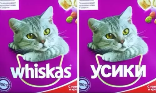 Смешная картинка №752850 Как видят мир люди, которые знают английский: