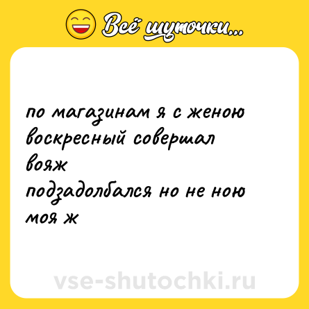 Шутка: по магазинам я с женою<br>воскресный совершал вояж<br>подзадолбался но не ною<br>моя ж