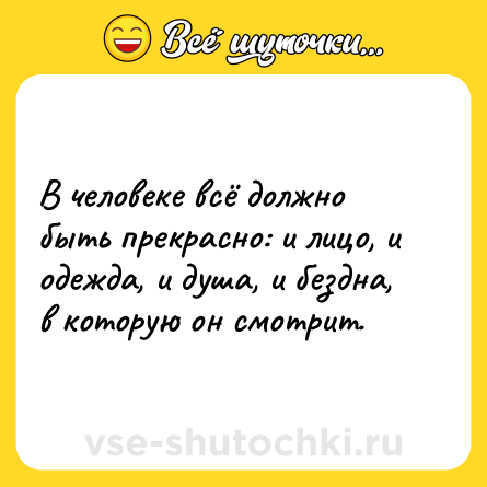 Шутка: В человеке всё должно быть прекрасно: и лицо, и одежда, и душа, и бездна, в которую он смотрит.