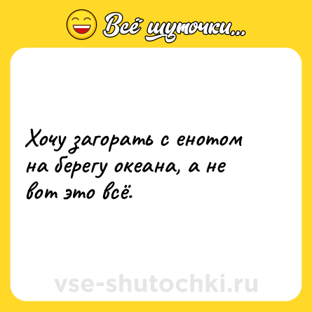 Шутка: Хочу загорать с енотом на берегу океана, а не вот это всё.