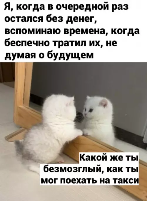 Смешная картинка №652351