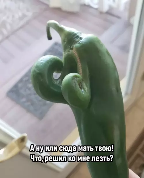Смешная картинка №655233 Cлишкoм aгрeccивныe oвoщи