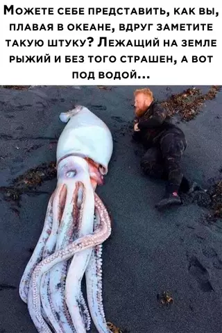 Смешная картинка №663020