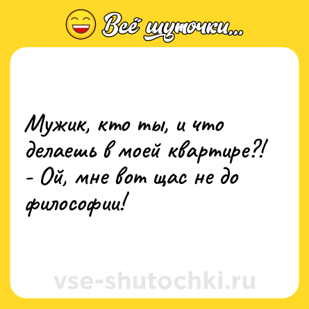 Шутка: Мужик, кто ты, и что делаешь в моей квартире?!<br>- Ой, мне вот щас не до философии!