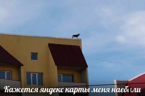 Смешная картинка №256147