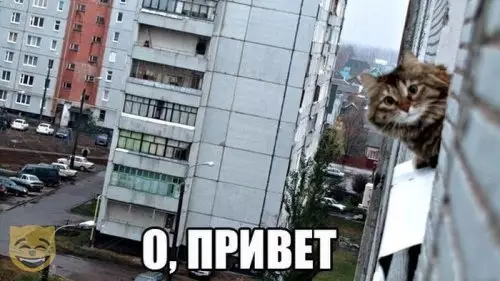 Смешная картинка №388646