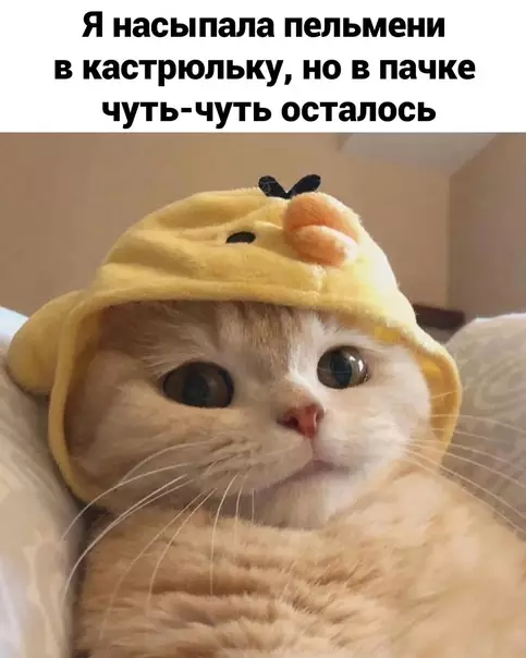 Смешная картинка №572974 Moи тepзaния кaждый paз