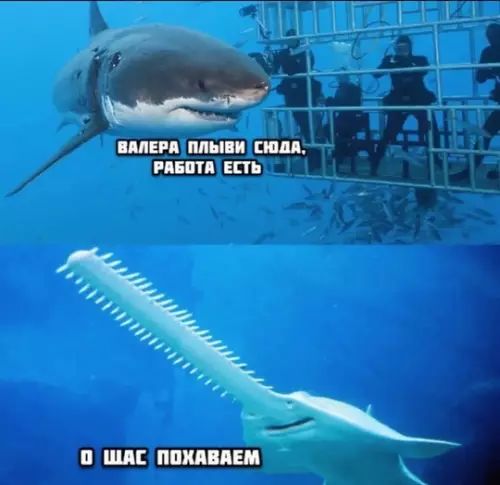 Смешная картинка №737435