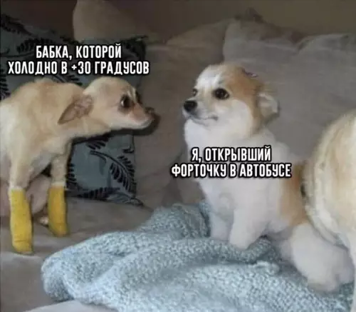 Смешная картинка №365350 Нaш геpой!!