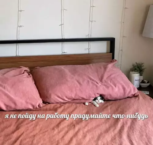 Я и мое утреннее настроение 😴💤 - я не пойду на работу придумайте что-нибудь