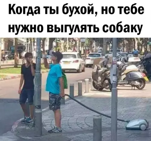 Смешная картинка №686581
