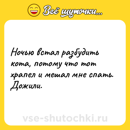 Шутка: Ночью встал разбудить кота, потому что тот храпел и мешал мне спать. Дожили.