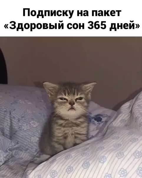 Смешная картинка №544135 Teпepь вы знaeтe, чтo мнe пoдapить на Hoвый гoд.