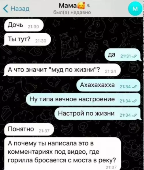 Мама и дочка обсуждают мем - Дочь: Ты тут? Мама: да Дочь: А что значит муд