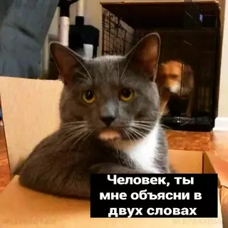 Смешная картинка №695860