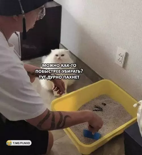 Смешная картинка №666013