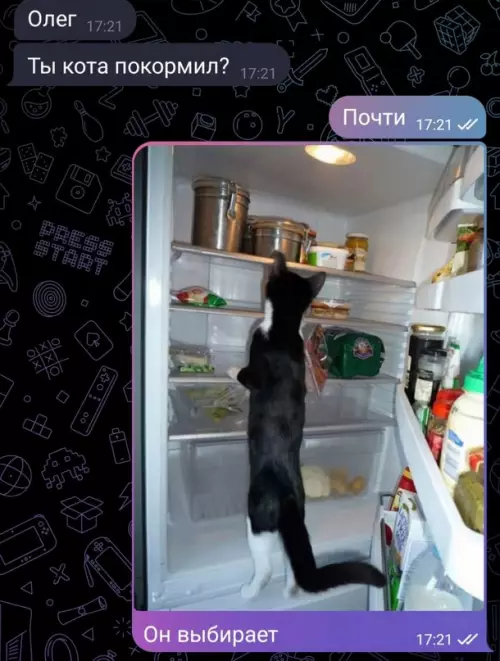 Смешная картинка №715323 коты