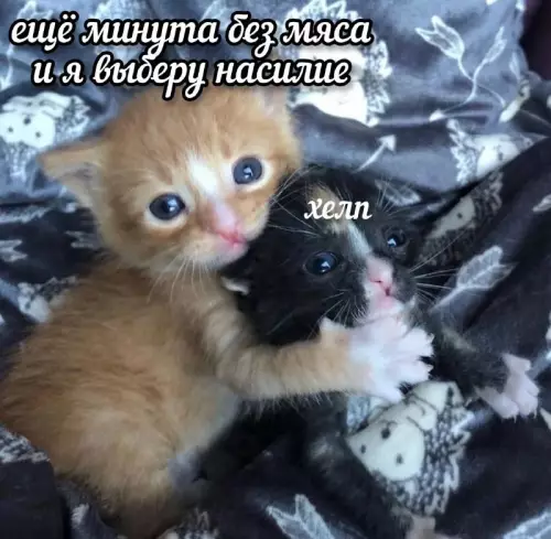 Смешная картинка №763515