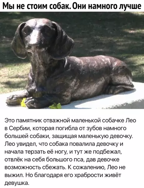 Смешная картинка №327602 Лучшие друзья всем нам собаки