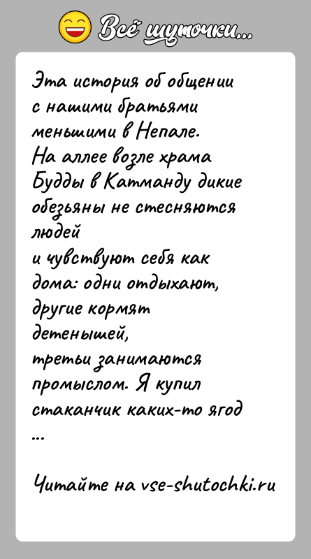 История: Эта история об общении с нашими братьями меньшими в Непале.На аллее возле храма Будды в Катманду дикие обезьяны не стесняются