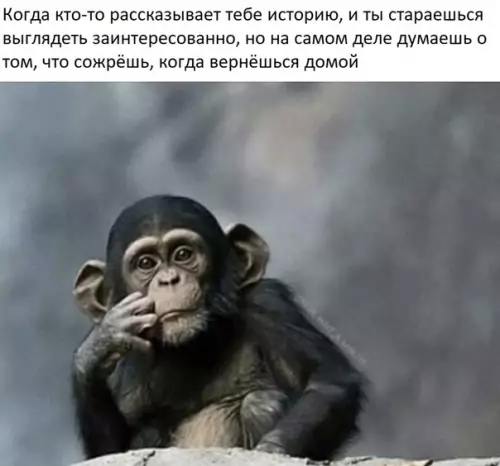 Смешная картинка №309974