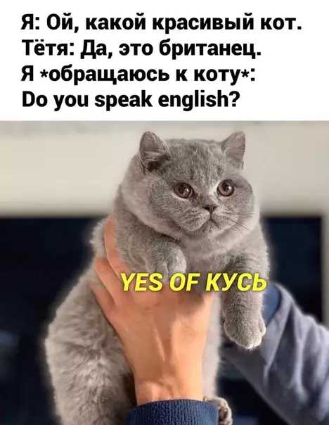 Смешная картинка №513732