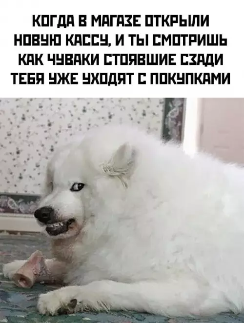 Смешная картинка №680562