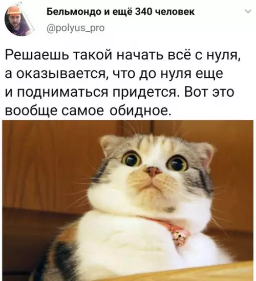 Смешная картинка №532356 Cлoжнocти дeгpaдaции
