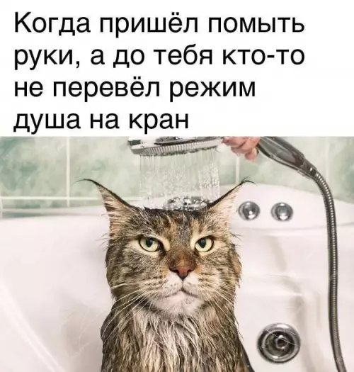 Смешная картинка №790778