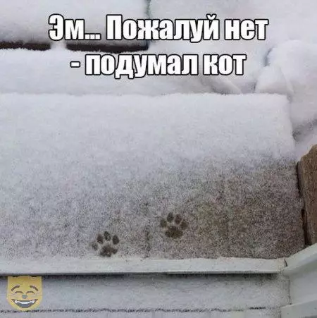 Смешная картинка №323586