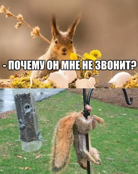 Смешная картинка №195570