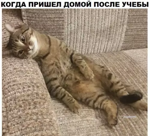 Смешная картинка №207003