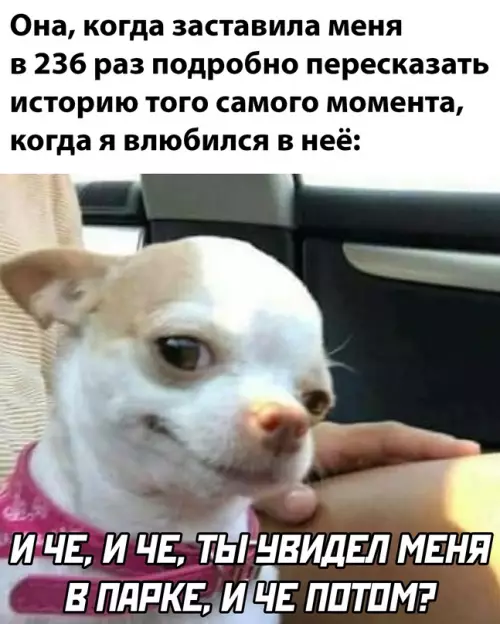 Смешная картинка №663959 девушки, отношения