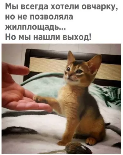 Смешная картинка №291529