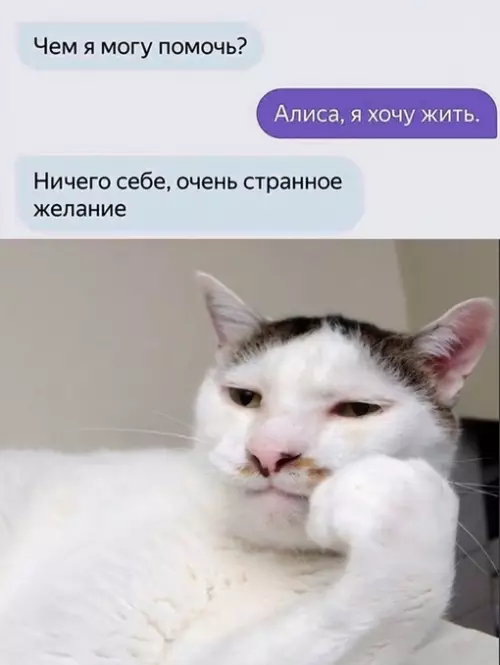 Смешная картинка №704804