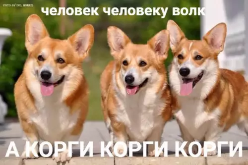 Смешная картинка №238874