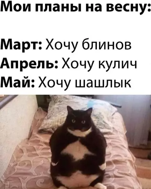 Смешная картинка №559917