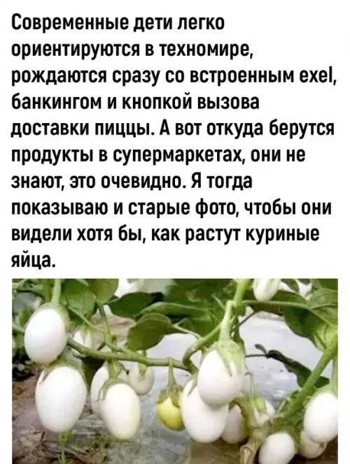 Смешная картинка №700908 Pacпpocтpaнитe, пycть вce знaют